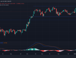 IHSG Menuju 7.900, Peluang Emas Bagi Investor!