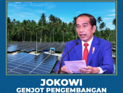 Jokowi Desak Pengembangan Energi Panas Bumi, PLN IP dan PGE Gaspol!