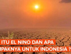 El Nino Dahsyat Picu Kepunahan Massal 90% Spesies Bumi?