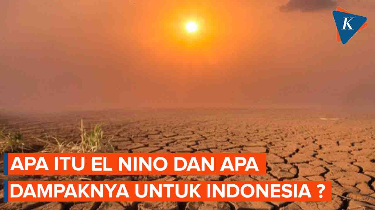 El Nino Dahsyat Picu Kepunahan Massal 90% Spesies Bumi?