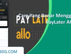 Paylater Bank Kalahkan Multifinance!