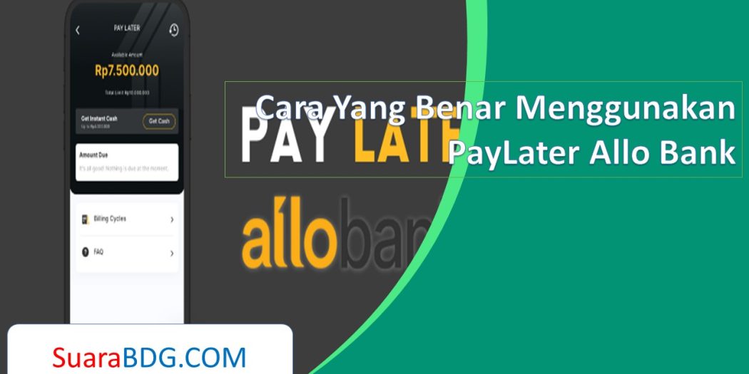 Paylater Bank Kalahkan Multifinance