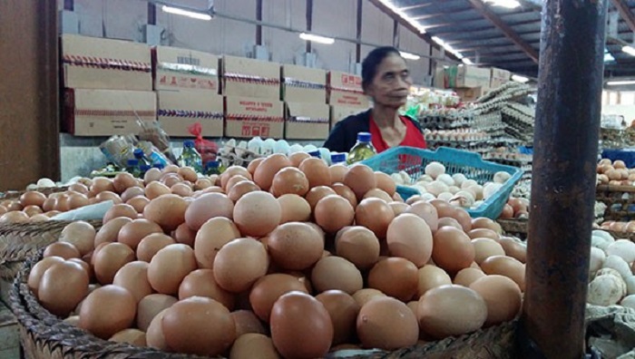 Harga Ayam dan Telur Turun di Bawah HET Jelang Tahun Baru Harga Bakal Naik