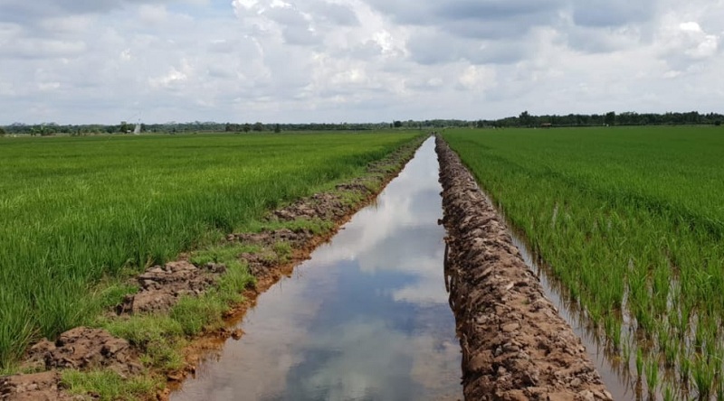 Lahan Kritis Disulap Jadi Harta Karun