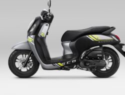 Honda Scoopy Baru Segera Muncul! Apa Bedanya?