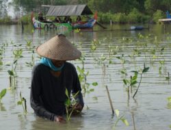 LindungiHutan Gelar Open Forest #2: Tanam Mangrove dan Bangun Kesadaran Perubahan Iklim