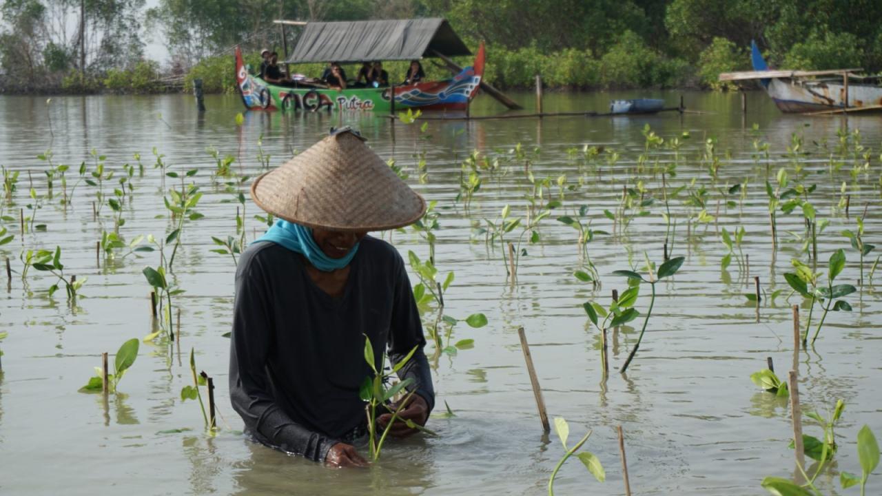 LindungiHutan Gelar Open Forest 2 Tanam Mangrove dan Bangun Kesadaran Perubahan Iklim