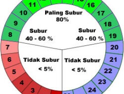 Menghitung Masa Subur Setelah Haid untuk Mencegah Kehamilan