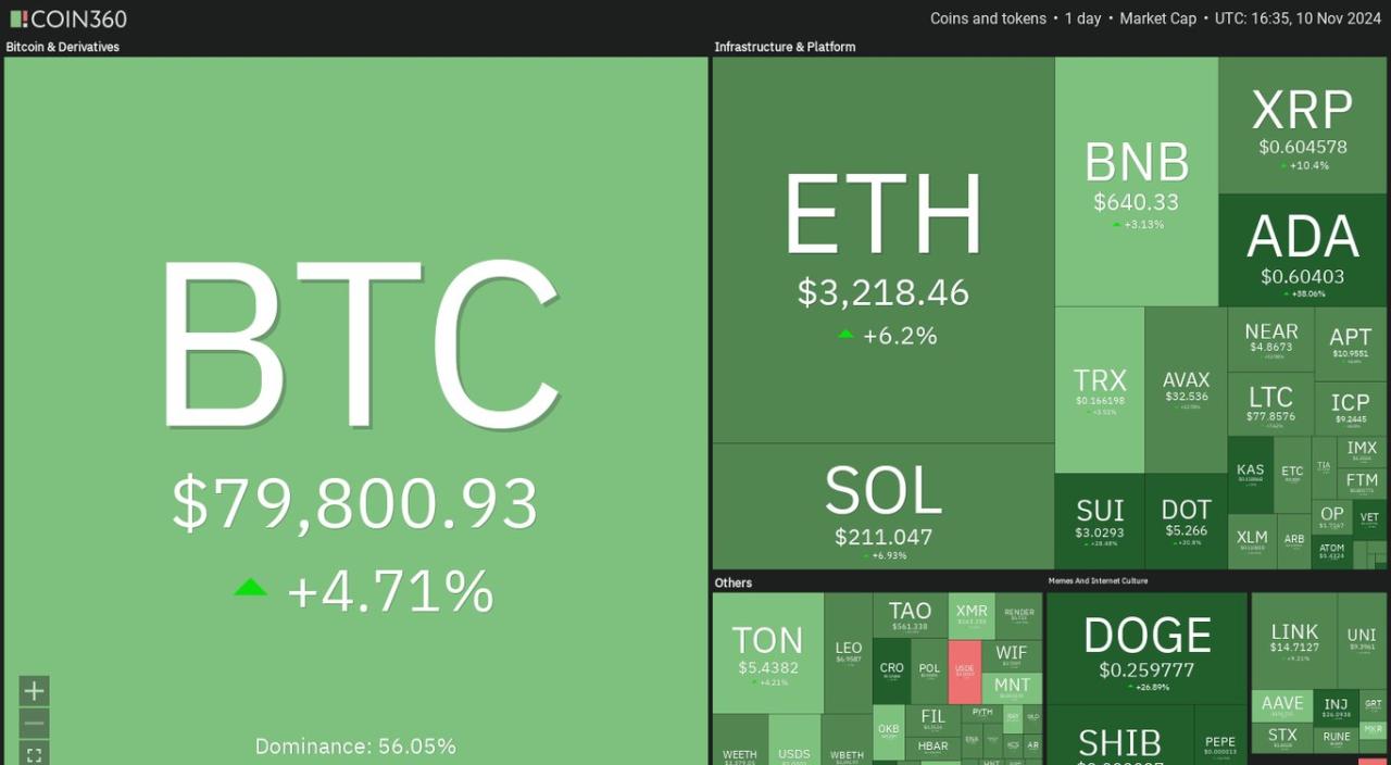 Bitcoin Tembus $80000 Dampaknya pada Altcoin Teratas