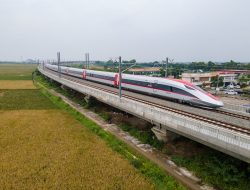 Misteri di Balik Tender Kereta Cepat Whoosh