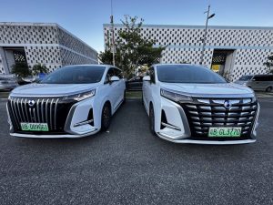 Alphard Tremor?