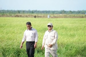 Rekor! Cadangan Beras RI Melimpah