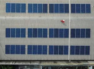 Energi Terbarukan:  Bintang Baru di Tengah Ekonomi Lesu?