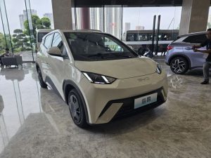 Mobil Listrik China Banjir Pasar!