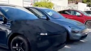 Tesla Siapkan Kejutan, Lawan BYD Atto 1?