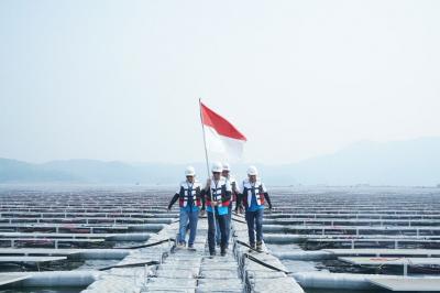 Prestasi BRI Memukau! Raih Penghargaan ESG