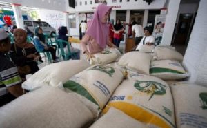 Pasokan Beras Aman Hingga Awal Tahun Depan