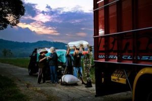 BULOG Bantah Isu Hentikan Serapan Gabah dan Beras