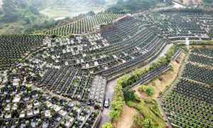 Mobil Baru Menggunung di China: Neraka Perang Harga!