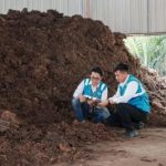 Energi Bersih dari Desa Koperasi Jadi Andalan PLN