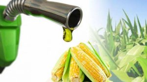 Bobibos: BBM Lokal Jonggol Saingi Pertamax Turbo?