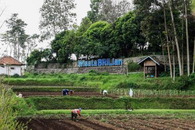 BRI Sasar Desa Mandiri Ekonomi Bangkit