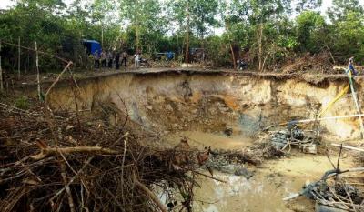 Lahan Mati Hidup Kembali Inovasi Pemuda