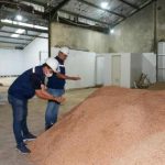 Sampah Jadi Emas Listrik