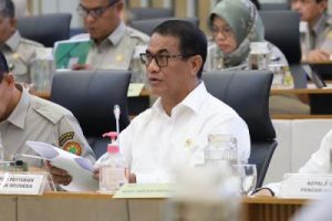 Indonesia Panen Raya Beras Pecahkan Rekor