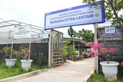 Lahan Tidur Jakarta Kini Berbuah Rupiah