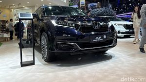Honda Avancier SUV Mewah Harga Tak Terduga