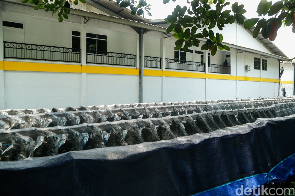 Skandal Motor Listrik Rp 1 T Terkuak