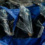 Skandal Motor Listrik BGN Terbongkar