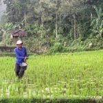 Indonesia Unggul Krisis Pangan Lewat