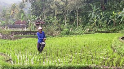 Indonesia Unggul Krisis Pangan Lewat