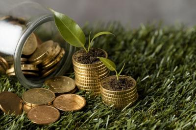 Investor Incar Ekosistem Canggih