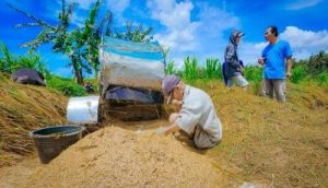 Petani Bahagia Gabah Melambung
