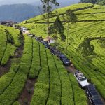 Petualangan Legendaris Land Cruiser