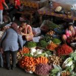 Bawang Putih Stabil Ini Kuncinya