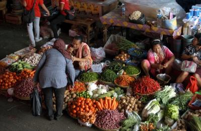 Bawang Putih Stabil Ini Kuncinya