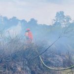 Kalimantan Darurat Api Mentrans Bertindak