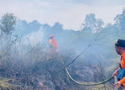Kalimantan Darurat Api Mentrans Bertindak