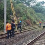 Pohon Tumbang Lumpuhkan Jalur KRL Bogor
