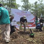 Misteri Pemulihan Ekosistem Gambut