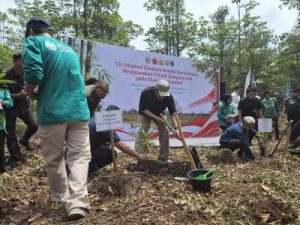 Misteri Pemulihan Ekosistem Gambut