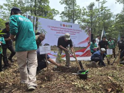 Misteri Pemulihan Ekosistem Gambut