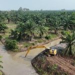 Strategi Ampuh Cegah Gagal Panen di Lampung
